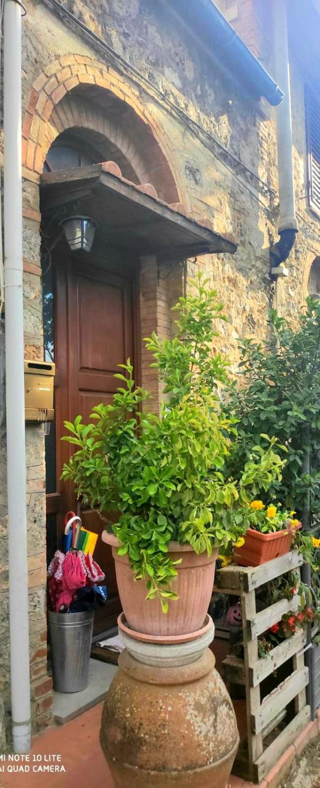 Luca'S Home Сан-Джиминьяно Номер фото